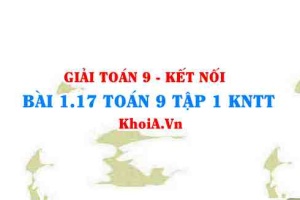 Bài 1.17 SGK Toán 9 tập 1 Kết nối tri thức
